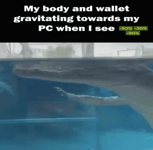 Whale Swimming In Pool Saying My Body And Wallet Gravitating Towards My PC GIF