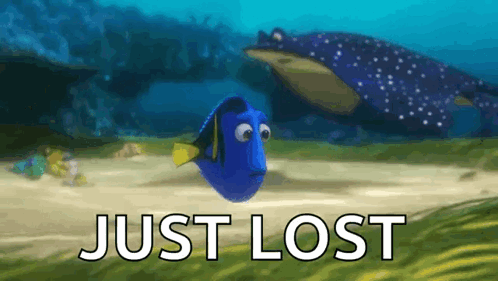 Whale Swimming Near Fish Saying Just Lost