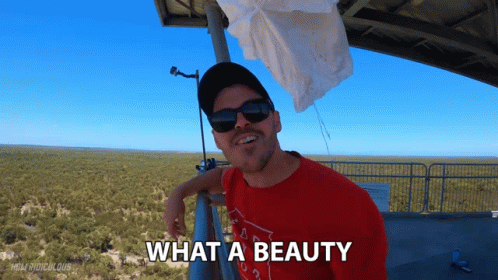 What A Beauty View GIF