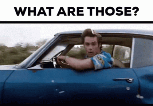 What Are Those Ace Ventura Meme GIF