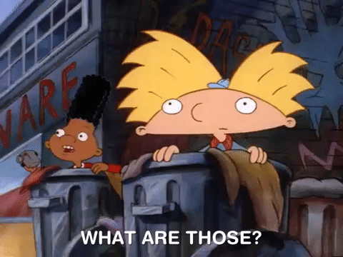 What Are Those Hey Arnold Nicksplat GIF