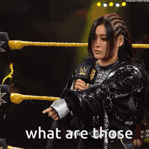 What Are Those Nxt Wwe Shirai Rhea Ripley GIF