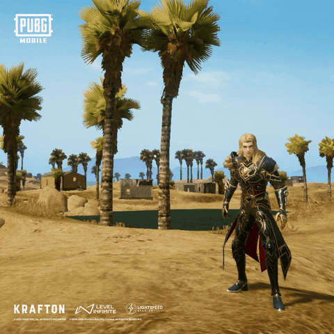 What Are Those Pubg Mobile Game GIF