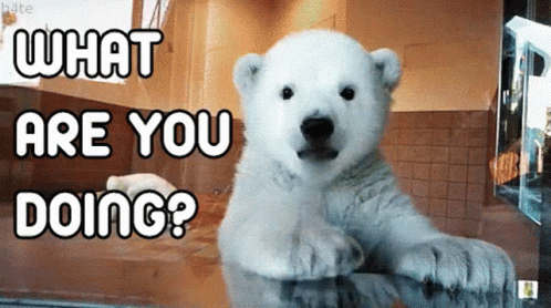 What Are You Doing Polar Bear Waving GIF