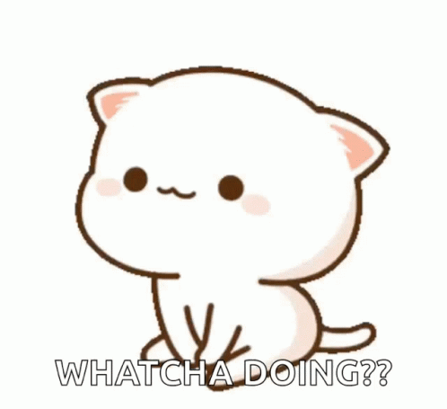 What Are You Doing Cute Anime Cat Mochi GIF