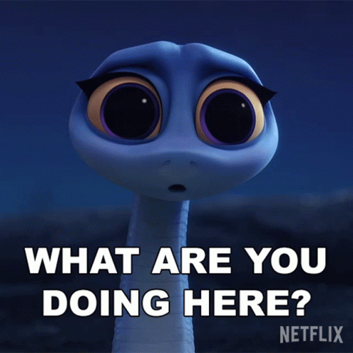 What Are You Doing Back To The Outback GIF