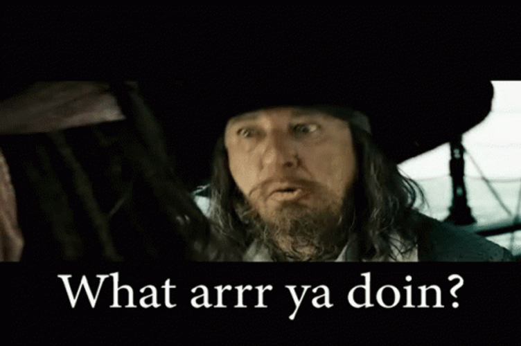 What Are You Doing Angry Hector Barbossa GIF