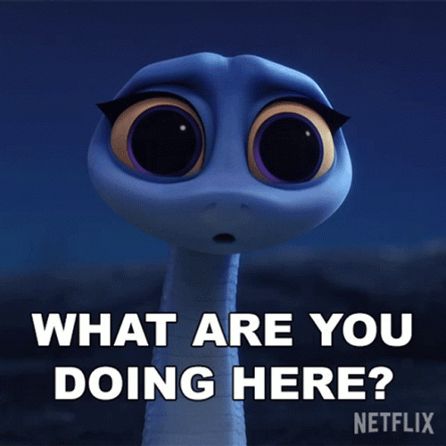 What Are You Doing Back To The Outback GIF
