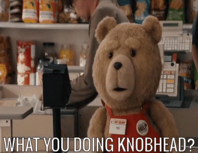 What Are You Doing Ted The Bear GIF