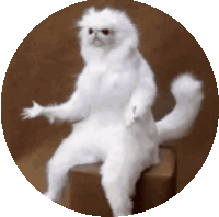 What Confused Sticker GIF