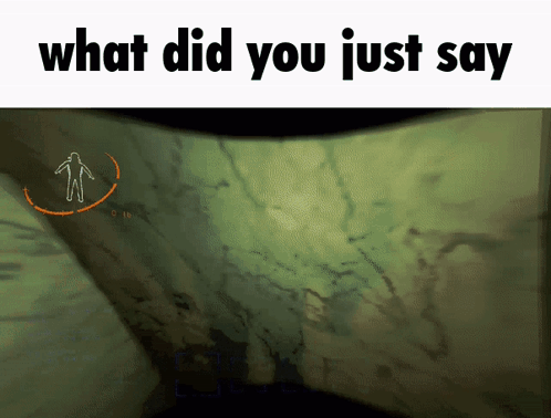What Did You Just Say