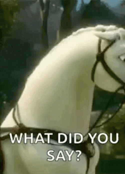 What Did You Say Horse GIF