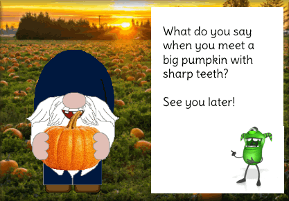 What Did You Say When You Meet Pumpkin GIF