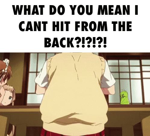 What Do You Mean I Cant Hit From The Back?