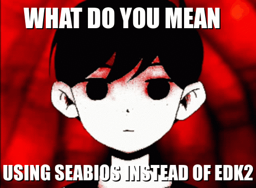 What Do You Mean Using Seabios Instead of EDK2 Poster
