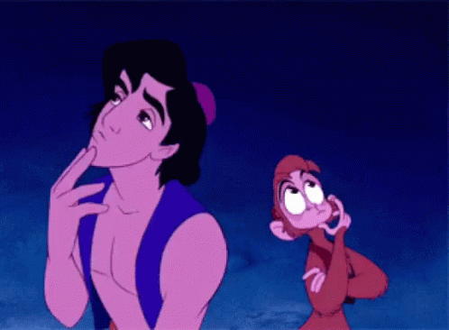 What Do You Think Aladdin GIF