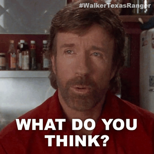 What Do You Think Chuck Norris GIF
