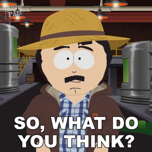 What Do You Think Randy Marsh South Park GIF