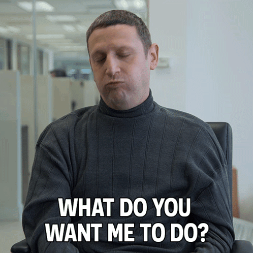 What Do You Want To Do Tim Robinson GIF