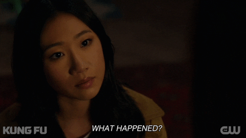 What Happened Kung Fu Nicky Shen GIF