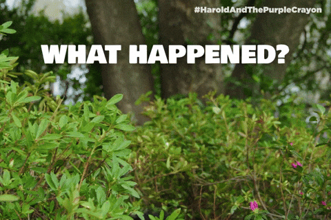 What Happened Man Coming Out From The Bushes GIF