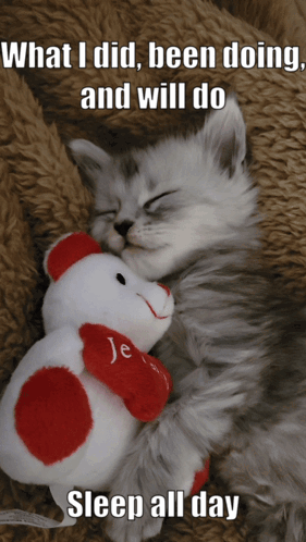 What I Do All Day Is Sleep GIF
