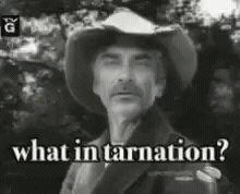 What In Tarnation GIF