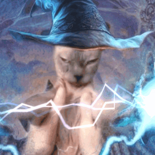 What Is A Wizard Without Quest Meme GIF
