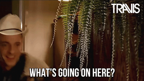 What Is Going On Confused Fran Healy GIF