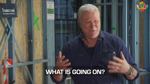 What Is Going On Scott Cam GIF