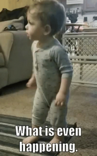 What Is Happening 311 X 498 Gif GIF