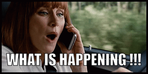 Bryce Dallas Howard What Is Happening GIF