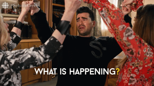 What Is Happening David Rose Schitt's Creek GIF