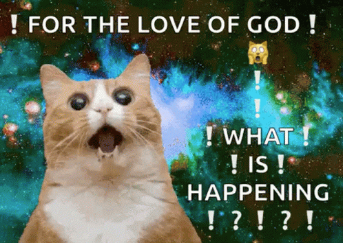 What Is Happening Funny Bewildered Cat Reaction GIF