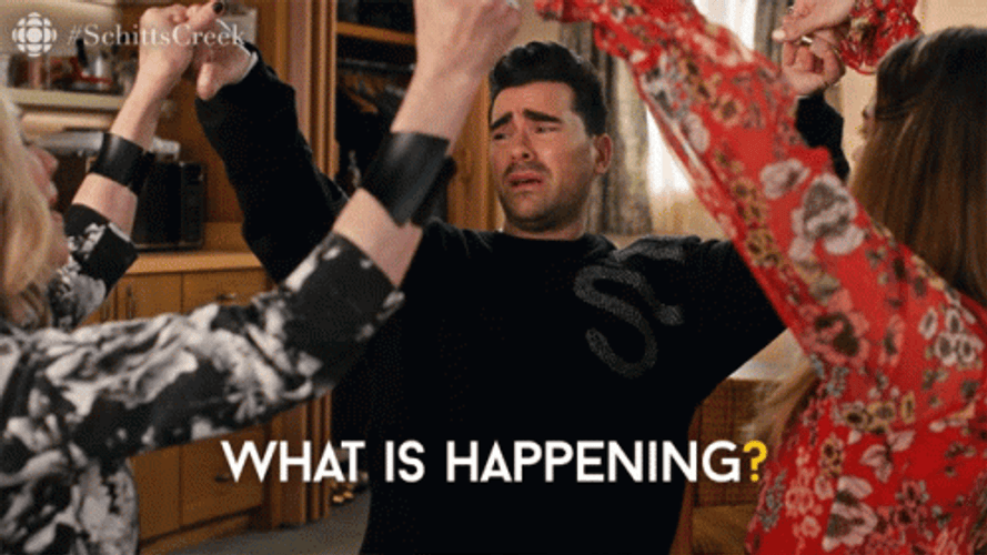 What Is Happening David Rose Schitt's Creek GIF