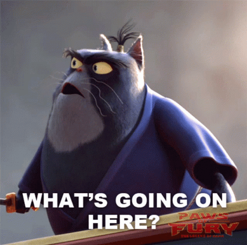 What Is Happening Jimbo Paws Of Fury GIF
