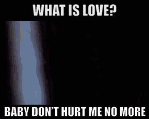 What Is Love Baby Don T Hurt Me GIF