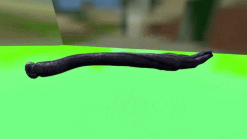 What Is That Leech GIF