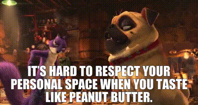 What Like Its Hard To Respect Your Personal Space GIF