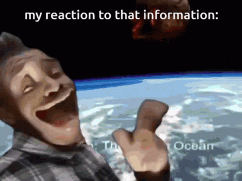 What Meme 498 X 373 Gif GIF