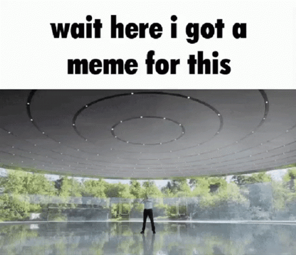 What Meme GIF