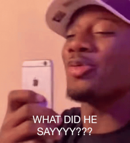 What Meme What Did He Say GIF