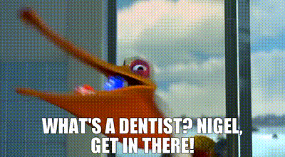 What's A Dentist Finding Nemo Scene GIF