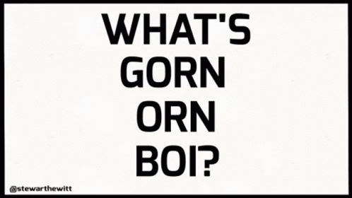 What's Going On Boi GIF
