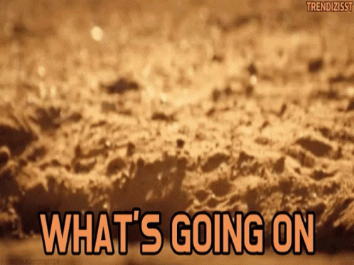 What's Going On in Orange Letters