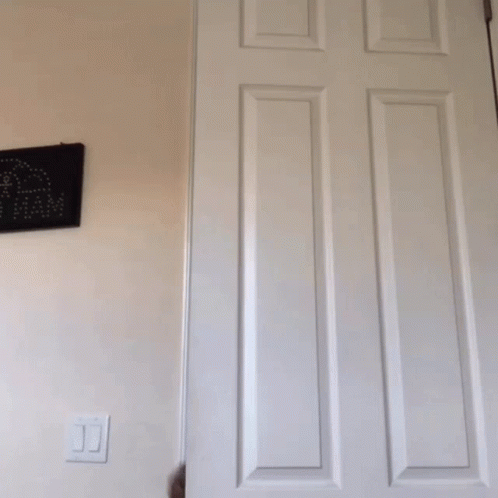 What's In Here Rubbing Hands GIF