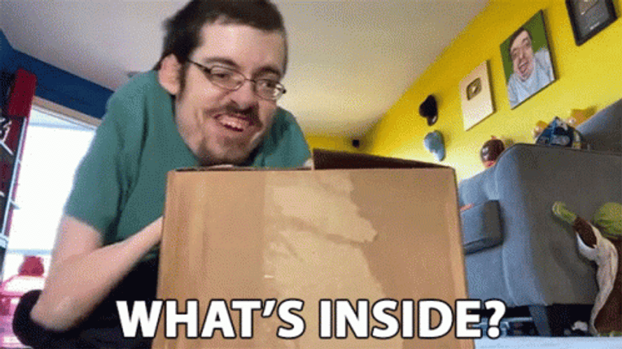 What's In The Box Excited Ricky Berwick GIF
