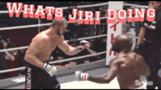 What's Jiri Doing Jiri Prochazka GIF