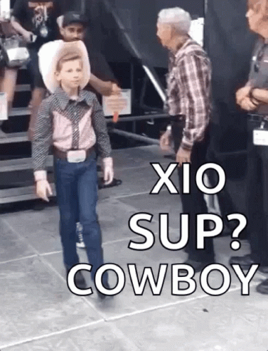 What's Up Cowboy Giddy Up GIF