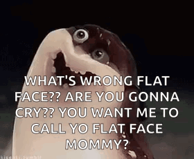 What 'S Wrong Flat Face Are You Gonna Cry ? You Want Me To Call Yo Flat Face Mommy ? GIF